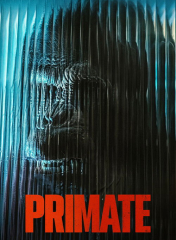 Primate