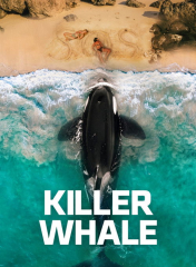 Killer Whale